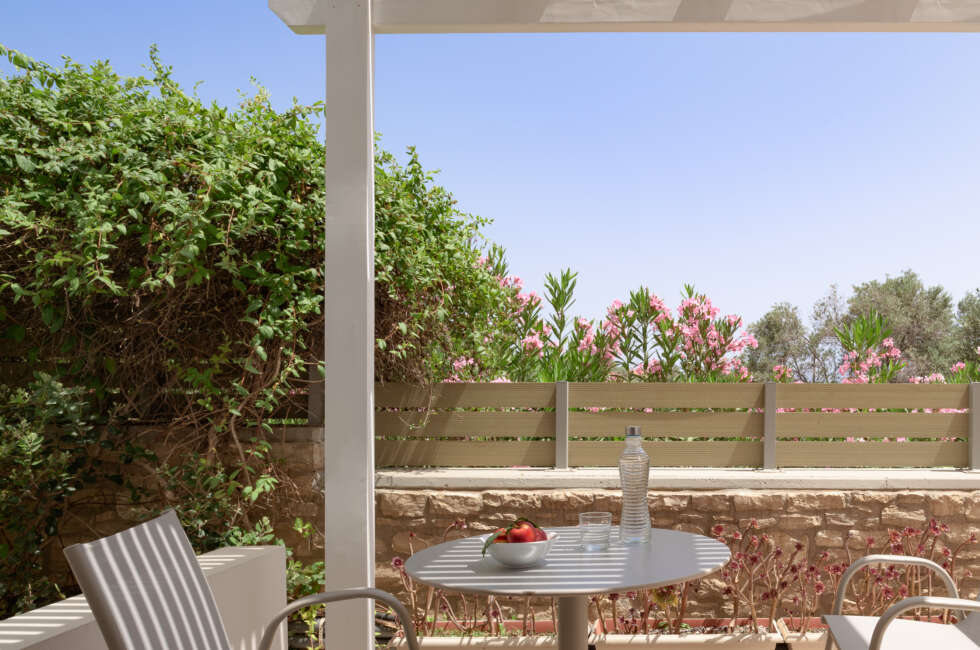 The garden area has been gifted with trees & plants